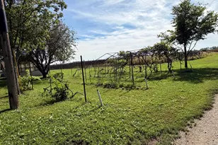 2580 250th St, Madison, MN 56256 - Photo 23