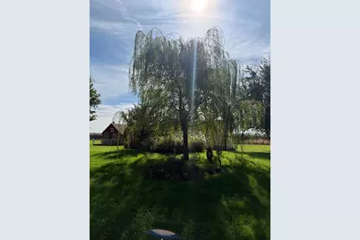2580 250th Street, Madison, MN 56256 - Photo 31