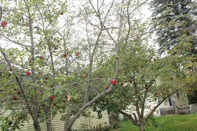 902 4th Street NE, Little Falls, MN 56345 - Photo 21