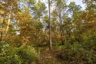 Tbd E Prairie Road, Osseo, WI 54758 - Photo 13