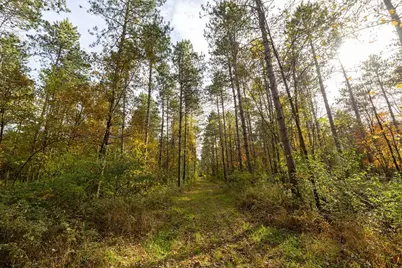 Tbd E Prairie Road, Osseo, WI 54758 - Photo 17