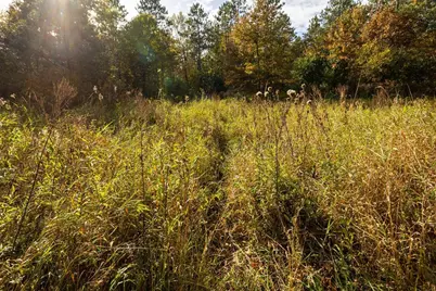 Tbd E Prairie Road, Osseo, WI 54758 - Photo 29
