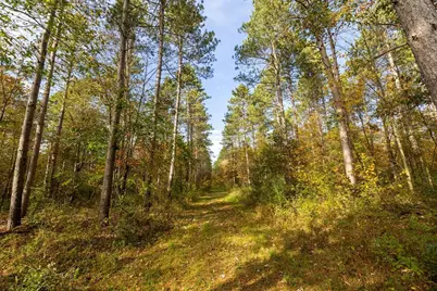 Tbd E Prairie Road, Osseo, WI 54758 - Photo 39