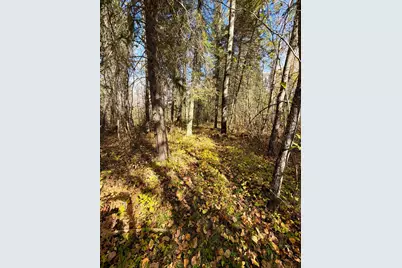 Tbd County Road 303, Deer River, MN 56636 - Photo 7