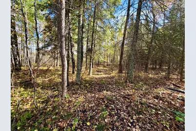 Tbd County Road 303, Deer River, MN 56636 - Photo 11