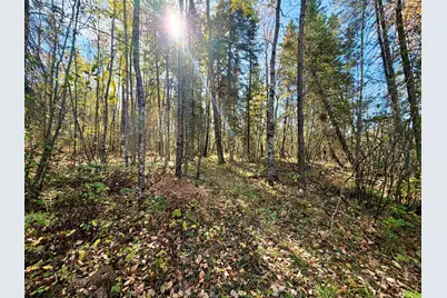 Tbd County Road 303, Deer River, MN 56636 - Photo 5
