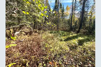 Tbd County Road 303, Deer River, MN 56636 - Photo 3