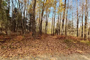 Tbd County Road 303, Deer River, MN 56636 - Photo 1