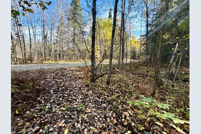 Tbd County Road 303, Deer River, MN 56636 - Photo 13