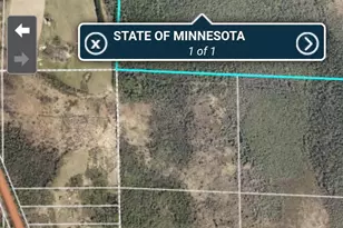 38652 Hwy 6, Deer River, MN 56636 - Photo 11