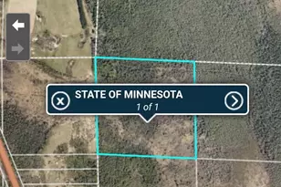 38652 Hwy 6, Deer River, MN 56636 - Photo 9