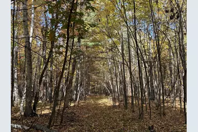 Xxxx County Road 19, Merrifield, MN 56465 - Photo 17