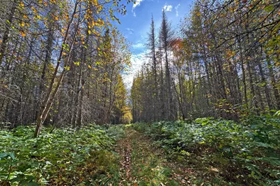 3098 Whyte Road, Two Harbors, MN 55616 - Photo 27