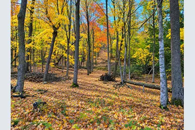 Lot 5 County Rd 39 NE, Longville, MN 56655 - Photo 1