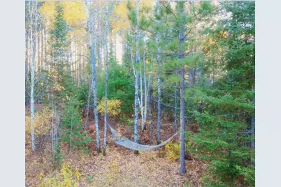 Tbd40 Highway 135 N, Tower, MN 55790 - Photo 35