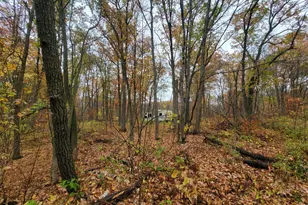 Tbd Lost Lake Trail, Cushing, MN 56475 - Photo 1