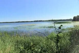 Tract 1 Lower Larson Lake Road NW, Hackensack, MN 56452 - Photo 1
