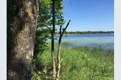 Tract 1 Lower Larson Lake Road NW, Hackensack, MN 56452 - Photo 11