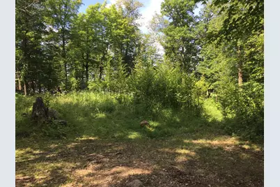 Tract 1 Lower Larson Lake Road NW, Hackensack, MN 56452 - Photo 23
