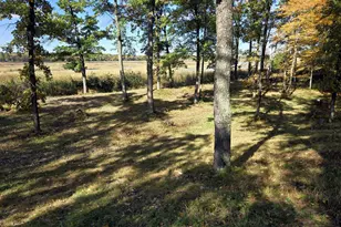 24787 Garden Lake Rd, Nisswa, MN 56468 - Photo 45
