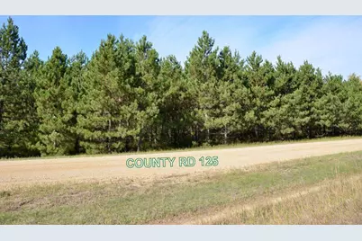 Xxx Grant Street, Park Rapids, MN 56470 - Photo 25
