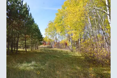 Xxx Grant Street, Park Rapids, MN 56470 - Photo 15