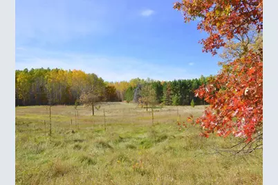 Xxx Grant Street, Park Rapids, MN 56470 - Photo 5