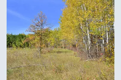 Xxx Grant Street, Park Rapids, MN 56470 - Photo 7