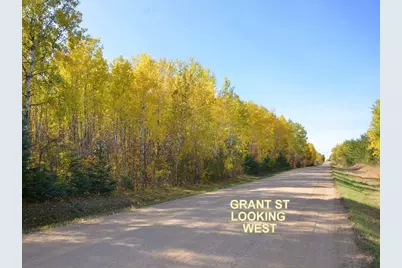 Xxx Grant Street, Park Rapids, MN 56470 - Photo 19