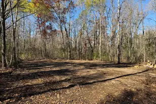 Tbd Armour Pass SW, Pillager, MN 56473 - Photo 1