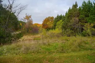 44543 Birch Lake Rd, Melrose, MN 56352 - Photo 75