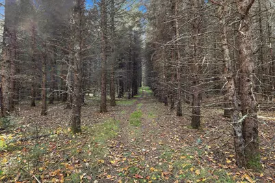 9816 County Road 30, Big Falls, MN 56627 - Photo 29