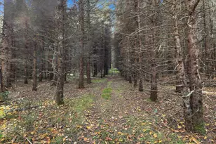 9816 County Rd 30, Big Falls, MN 56627 - Photo 29