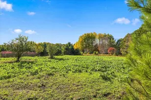 317 Sherwood Forest, River Falls, WI 54022 - Photo 49
