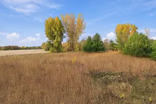 N2899 S Pepin Pava Ln, Stockholm, WI 54769 - Photo 47