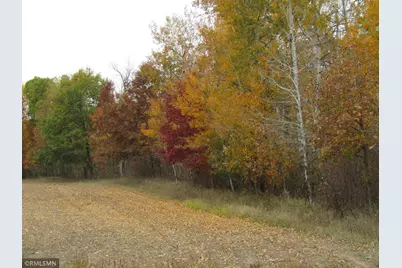 Xxxxx Holly Road, Pine City, MN 55063 - Photo 3