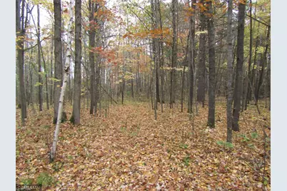 Xxxxx Holly Road, Pine City, MN 55063 - Photo 5
