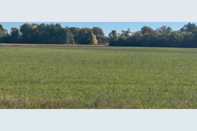 Tbd Xxx 85th Avenue, Lot 4, Princeton, MN 55371 - Photo 3