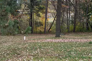 23929 Pine Ave, Osage Township, MN 56570 - Photo 3