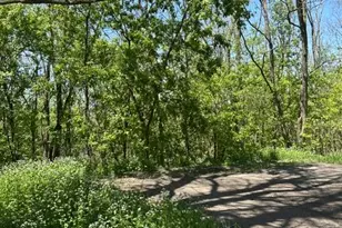 Xxx S Adams St, Saint Croix Falls, WI 54024 - Photo 1
