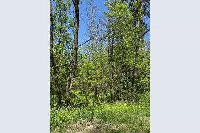 Xxx S Adams Street, Saint Croix Falls, WI 54024 - Photo 5