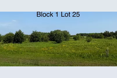 Tbd 22nd St NW, Baudette, MN 56623 - Photo 13