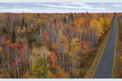Tbd Swedish Highway, Dairyland, WI 54830 - Photo 3
