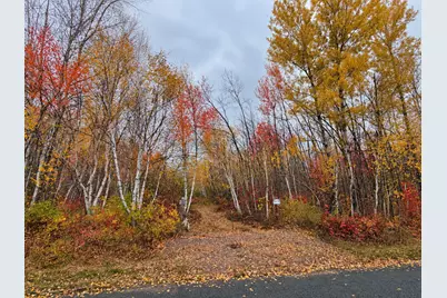 Tbd Swedish Highway, Dairyland, WI 54830 - Photo 13