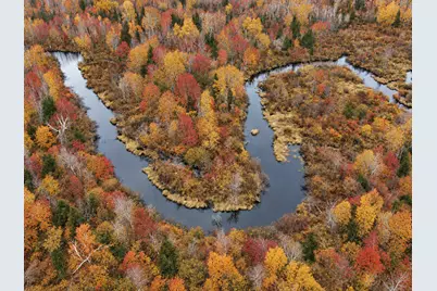Tbd Swedish Highway, Dairyland, WI 54830 - Photo 9