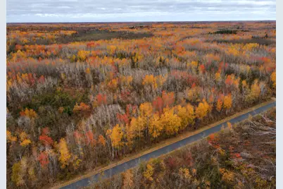 Tbd Swedish Highway, Dairyland, WI 54830 - Photo 17