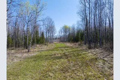Tbd Swedlund Road, Herbster, WI 54844 - Photo 1
