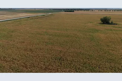 Tbd County Rd 39, Borup, MN 56519 - Photo 5