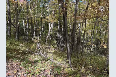 Tbd White Overlook Drive, Breezy Point, MN 56472 - Photo 19