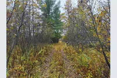 75Xx Metske Road, Eveleth, MN 55734 - Photo 5